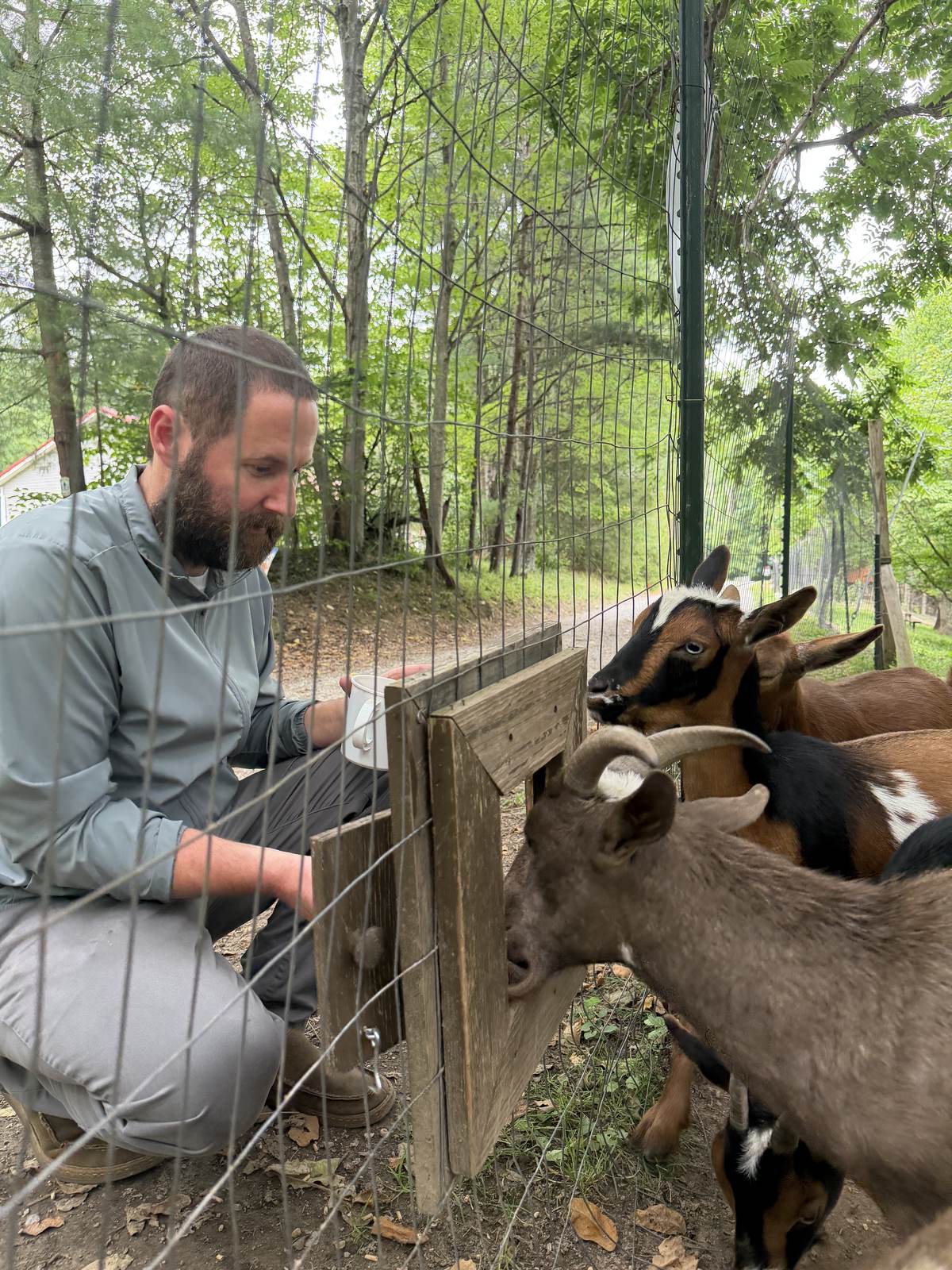A guest feeding the goats through the feeding station doors at Bigfoot Bungalow