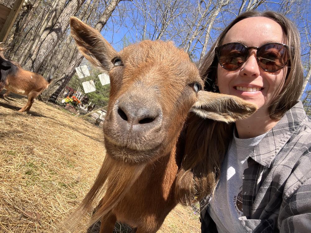 A guest meeting one of the goats at Bigfoot Bungalow