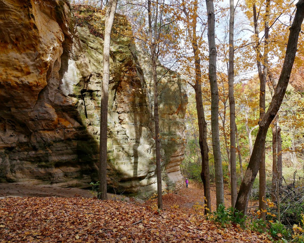 Conkle's Hollow gorge forest trail